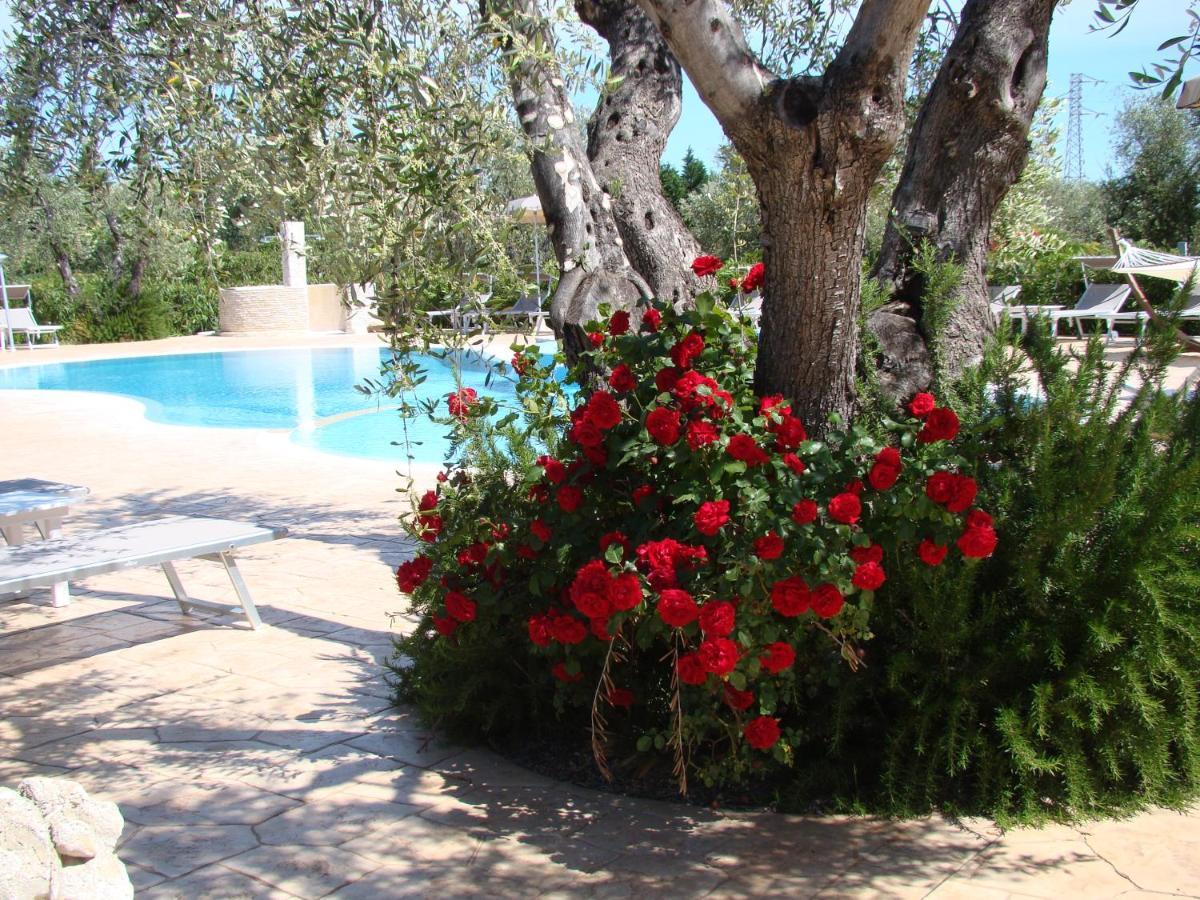 Agriturismo I Tesori Del Sud Vieste, Puglia ภายนอก รูปภาพ